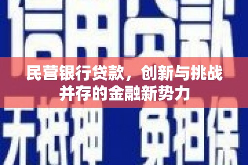 平泉民营银行贷款，创新与挑战并存的金融新势力