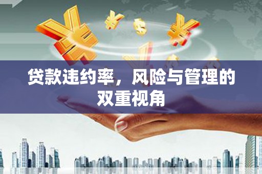 平泉贷款违约率，风险与管理的双重视角