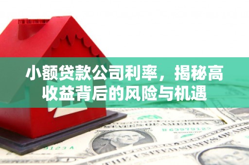平泉小额贷款公司利率，揭秘高收益背后的风险与机遇