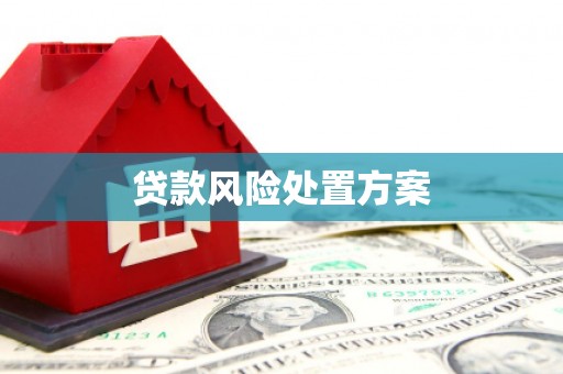 平泉贷款风险处置方案