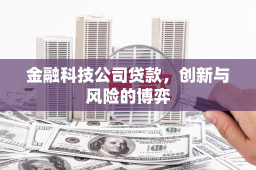 平泉金融科技公司贷款，创新与风险的博弈