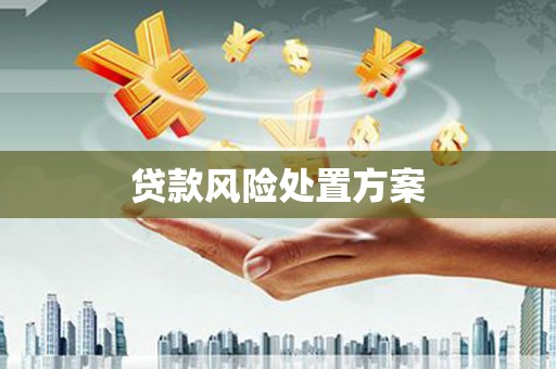平泉贷款风险处置方案