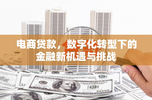 平泉电商贷款，数字化转型下的金融新机遇与挑战