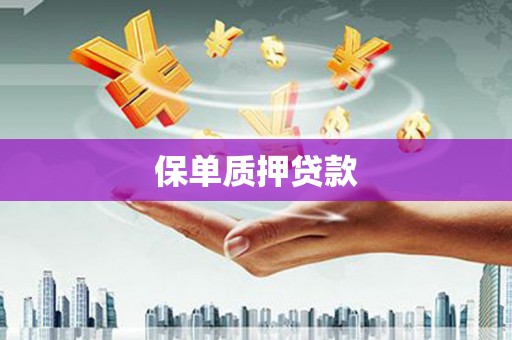 平泉保单质押贷款