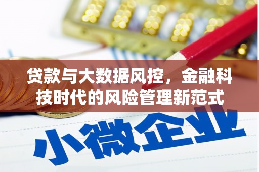 平泉贷款与大数据风控，金融科技时代的风险管理新范式