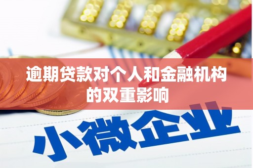 平泉逾期贷款对个人和金融机构的双重影响