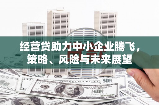 平泉经营贷助力中小企业腾飞，策略、风险与未来展望
