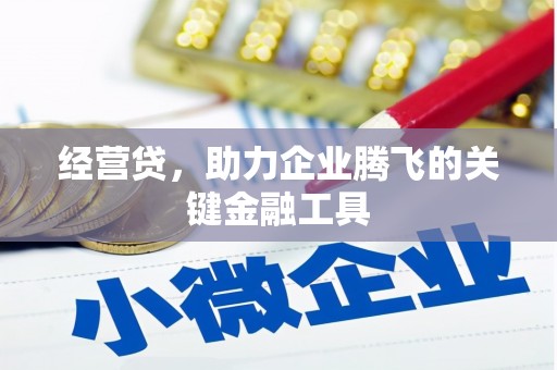平泉经营贷，助力企业腾飞的关键金融工具