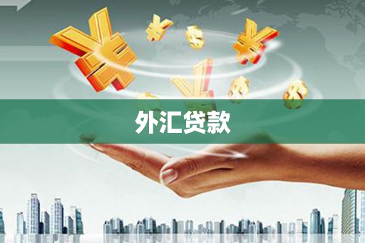 平泉外汇贷款