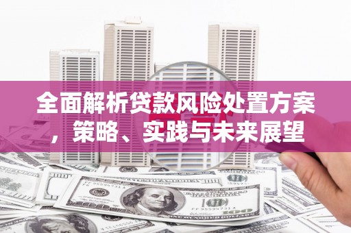 平泉全面解析贷款风险处置方案，策略、实践与未来展望