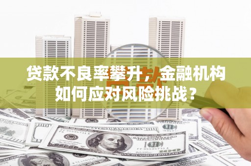 平泉贷款不良率攀升，金融机构如何应对风险挑战？