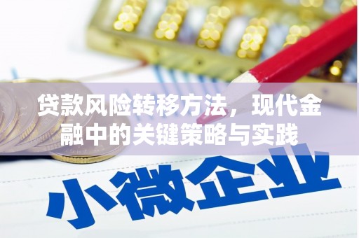 平泉贷款风险转移方法，现代金融中的关键策略与实践