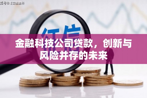 平泉金融科技公司贷款，创新与风险并存的未来