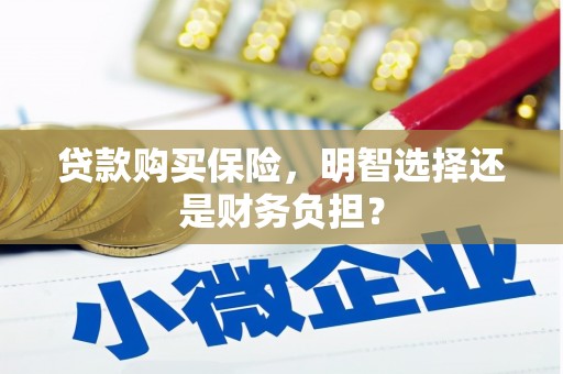 平泉贷款购买保险，明智选择还是财务负担？