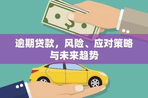平泉逾期贷款，风险、应对策略与未来趋势