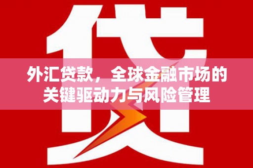 平泉外汇贷款，全球金融市场的关键驱动力与风险管理