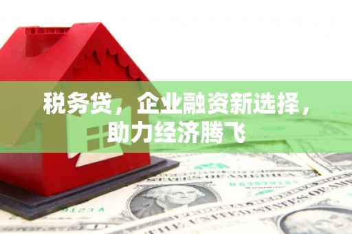 平泉税务贷，企业融资新选择，助力经济腾飞