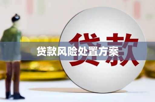平泉贷款风险处置方案