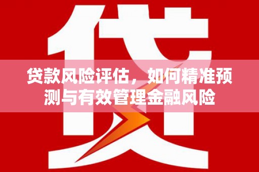 平泉贷款风险评估，如何精准预测与有效管理金融风险