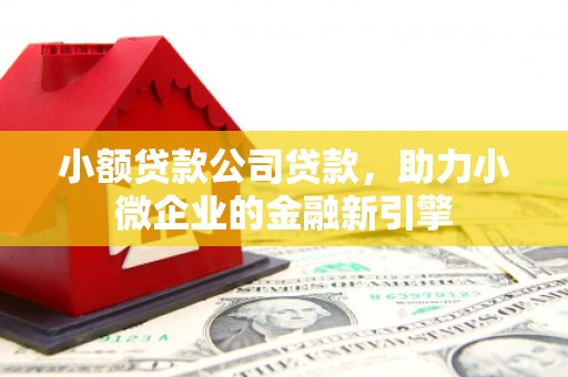 平泉小额贷款公司贷款，助力小微企业的金融新引擎