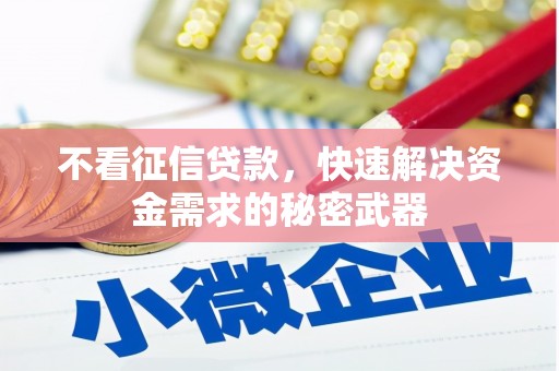 平泉不看征信贷款，快速解决资金需求的秘密武器
