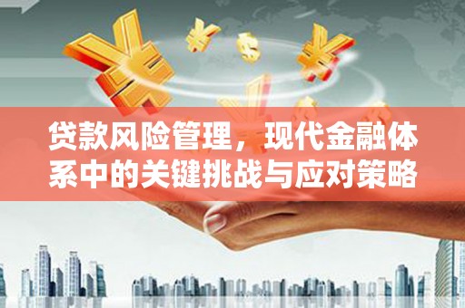 平泉贷款风险管理，现代金融体系中的关键挑战与应对策略