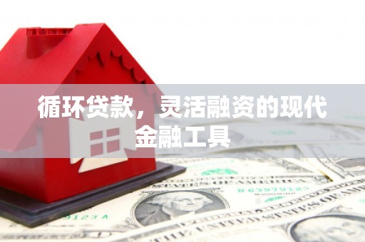 平泉循环贷款，灵活融资的现代金融工具