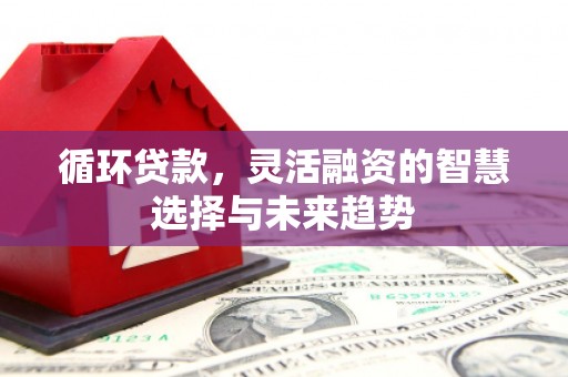 平泉循环贷款，灵活融资的智慧选择与未来趋势