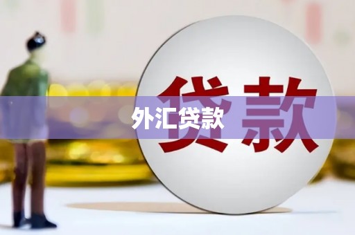 平泉外汇贷款