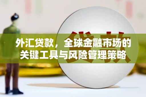 平泉外汇贷款，全球金融市场的关键工具与风险管理策略