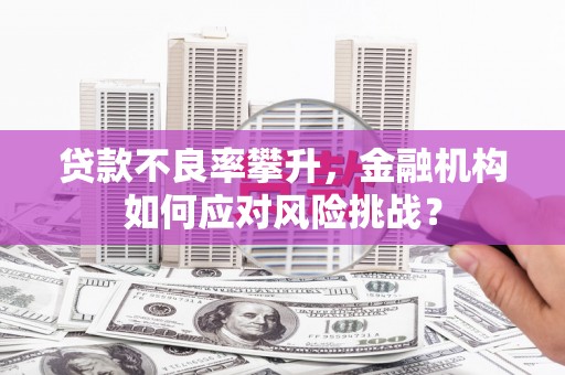 平泉贷款不良率攀升，金融机构如何应对风险挑战？