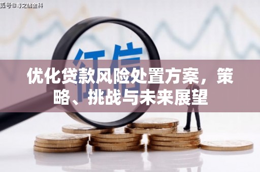 平泉优化贷款风险处置方案，策略、挑战与未来展望