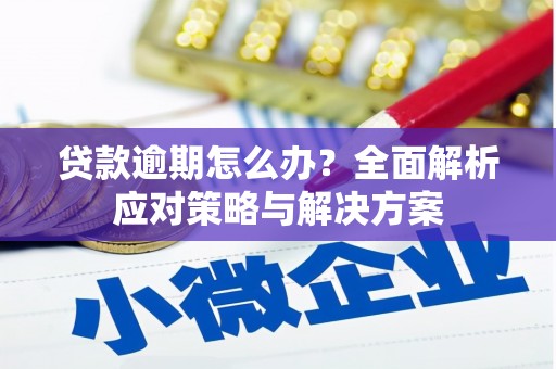 平泉贷款逾期怎么办？全面解析应对策略与解决方案
