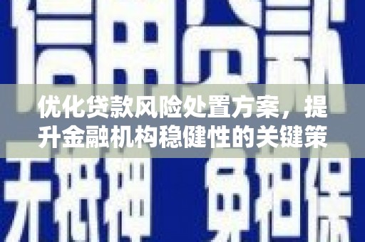 平泉优化贷款风险处置方案，提升金融机构稳健性的关键策略