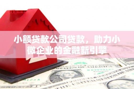 平泉小额贷款公司贷款，助力小微企业的金融新引擎