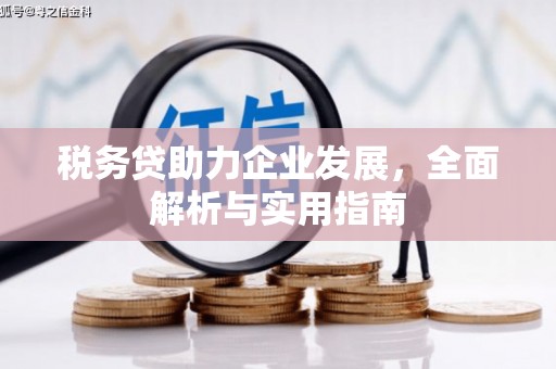 平泉税务贷助力企业发展，全面解析与实用指南
