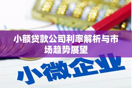 平泉小额贷款公司利率解析与市场趋势展望
