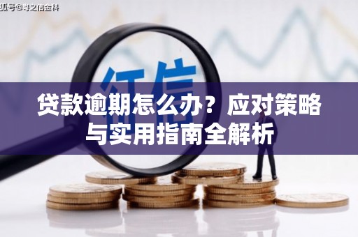 平泉贷款逾期怎么办？应对策略与实用指南全解析