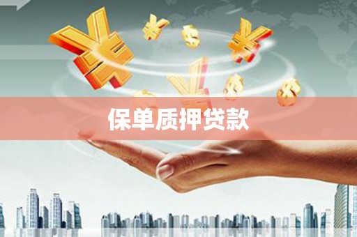 平泉保单质押贷款