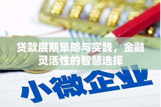 平泉贷款展期策略与实践，金融灵活性的智慧选择